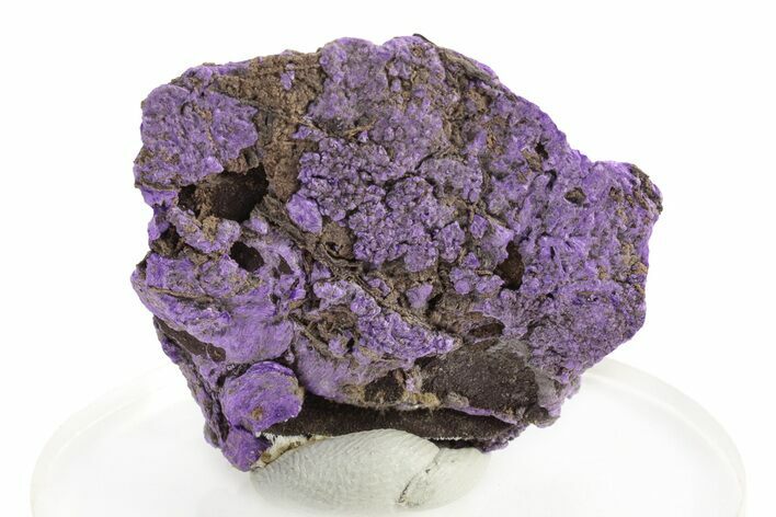 Vibrant Purple Sugilite Specimen - Wessels Mine, South Africa #241819